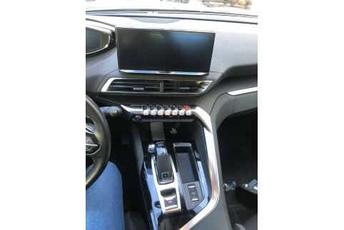 2021 Peugeot 3008, Dyzelinas